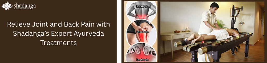 Relieve Joint and Back Pain with Shadanga’s Expert Ayurveda Treatments