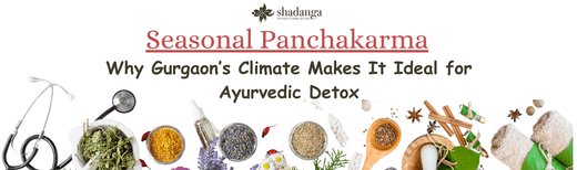 Seasonal Panchakarma: Why Gurgaon’s Climate Makes It Ideal for Ayurvedic Detox