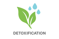 Detoxification icon